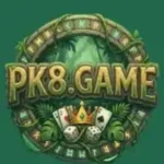 PK8 Game