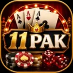 11pak Game