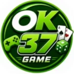 OK 37 Game
