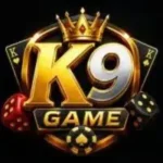 K9 Game