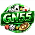 GN55 Game